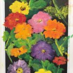 Window Box